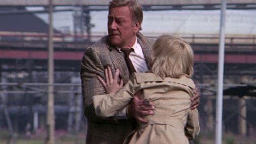 Brannigan - Ein Mann aus Stahl Bild 5