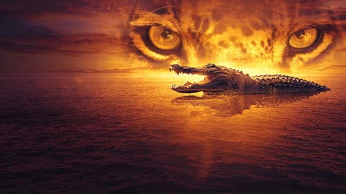 Jaguar vs. Krokodil Bild 1