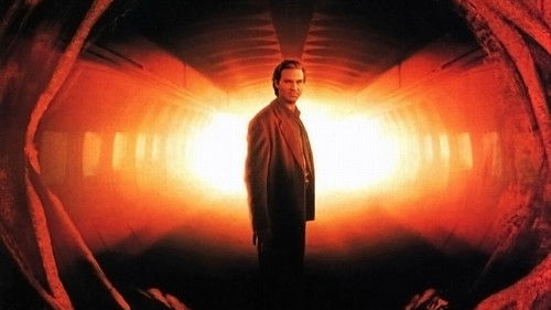 Fearless - Jenseits der Angst Bild 3