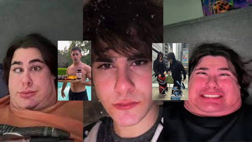 Cookieverse europapA Bild 2