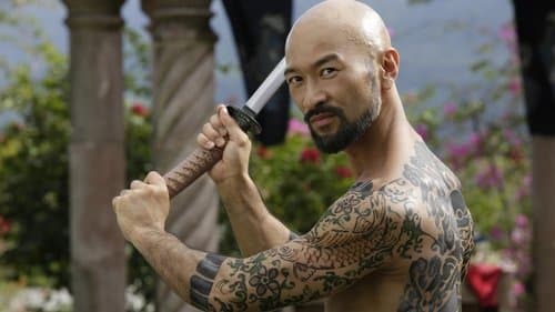 Falcon Rising Bild 1