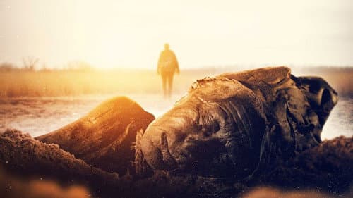 Ancient Bodies: Secrets Revealed Bild 2