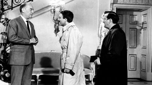 Ein Schuß im Dunkeln Bild 7