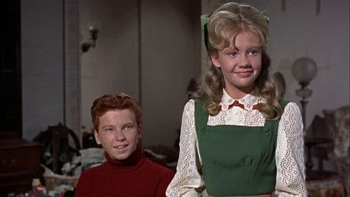 Summer Magic- Ein zauberhafter Sommer Bild 6