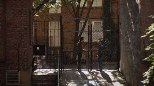 The Narcissists Bild 2