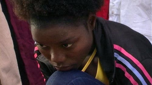 O Ouro e o Mundo Bild 6