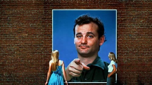 Ich glaub' mich knutscht ein Elch! Bild 3