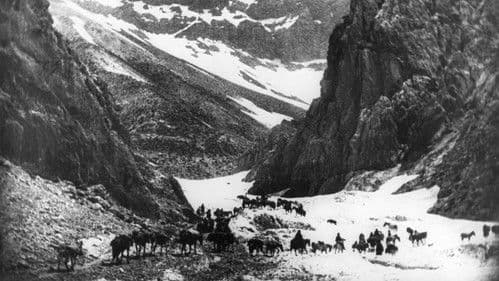 Grass: A Nation's Battle for Life Bild 3