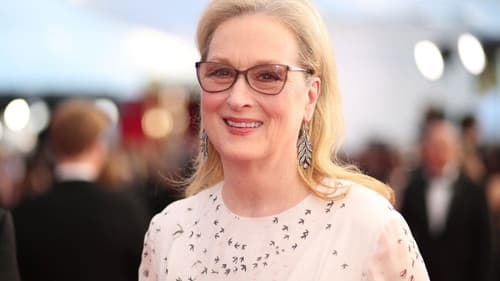 Meryl Streep – Die unverstellte Göttin Bild 1