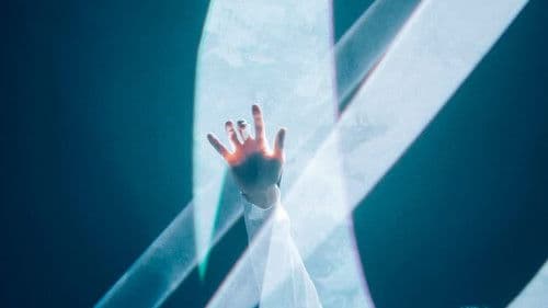 SAKANAQUARIUM 光 ONLINE Bild 5