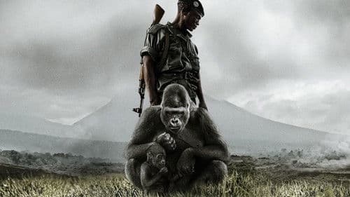 Virunga Bild 2