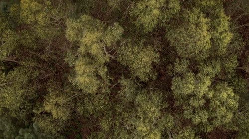 Unha illa no medio do mar Bild 5