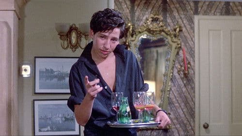 Die letzte amerikanische Jungfrau Bild 8