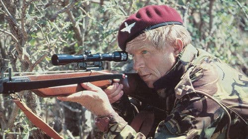 Die Wildgänse kommen Bild 8