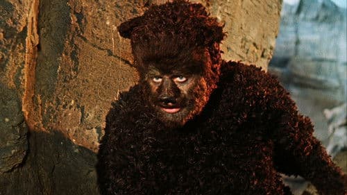 Das singende, klingende Bäumchen Bild 6