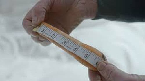 The Penis Extension Clinic Bild 1