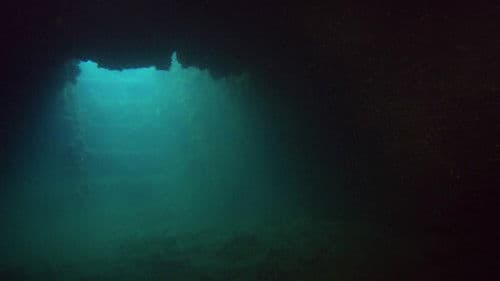 Expedition Pearl Harbor Bild 2