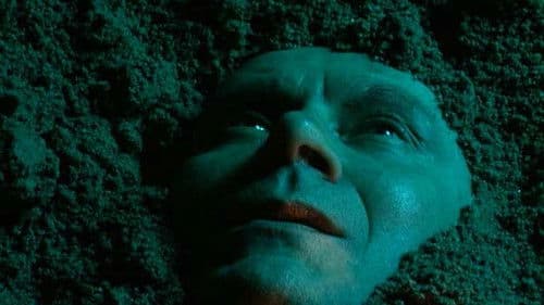 Il pratone del Casilino Bild 1