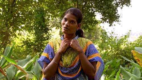 Unser Saatgut - Wir ernten, was wir säen Bild 4