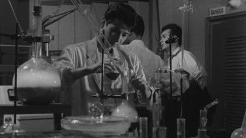 透明人間と蝿男 Bild 7