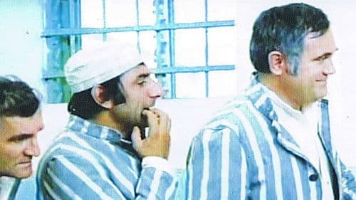 B.D. im Alarmzustand Bild 1