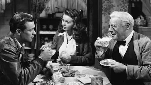 Eine Dachkammer für zwei Bild 2