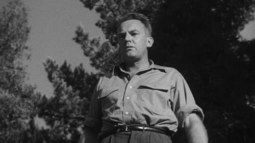 Straße des Terrors Bild 7