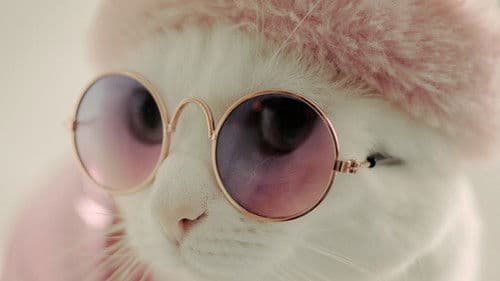 M'n beessie en ik Bild 2