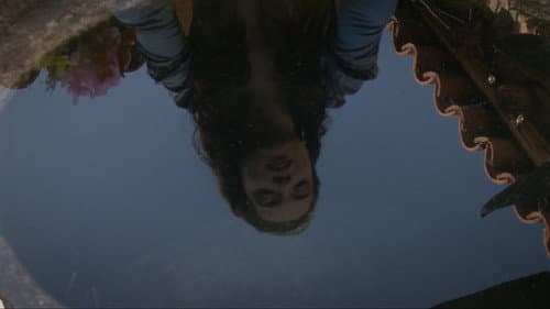 Sleeping Beauties Bild 6