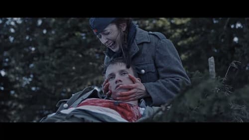 1945 - Frozen Front Bild 3