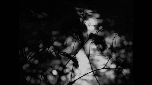 ツイン・ピークス・ビジュアル・サウンドトラック Bild 5