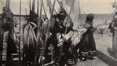 The Rose of Old St. Augustine Bild 1