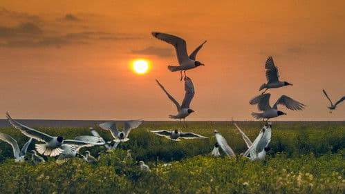 Заповідник Асканія Bild 2