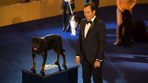 Show Dogs - Agenten auf vier Pfoten Bild 3