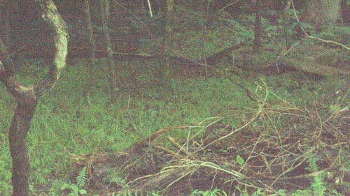 The Inventory Bild 1