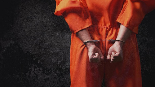 First Week In Bild 1