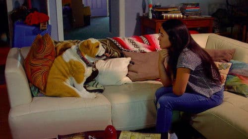 Sam and Elvis Bild 5