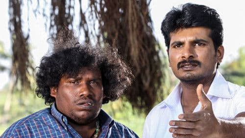 குத்தூசி Bild 2