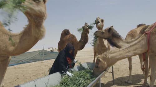 سماء قريبة Bild 1