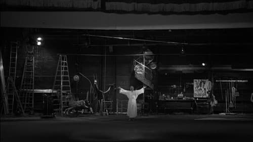 Au pays de Zom Bild 4