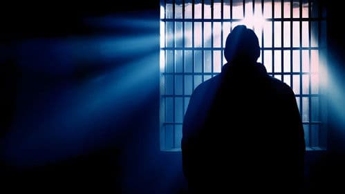 Dutroux, un homme libre ? Bild 1