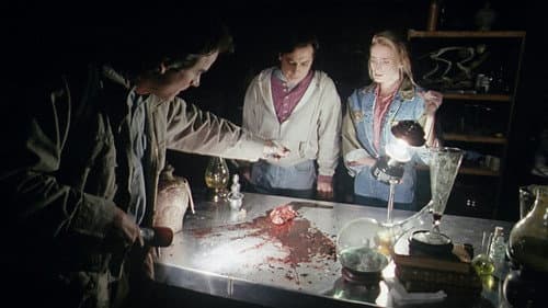 Evil Dead - Die Saat des Bösen Bild 4