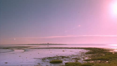 Lawless Heart Bild 5