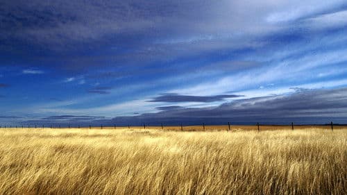 Sekoe: My Home Bild 1