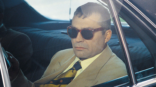 Elefanten und Gras Bild 7