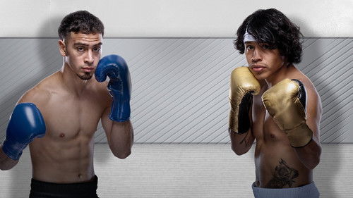 Zuffa Boxing 02 Bild 4