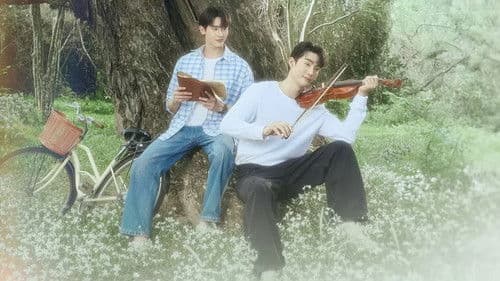 Melody of Secrets Bild 4