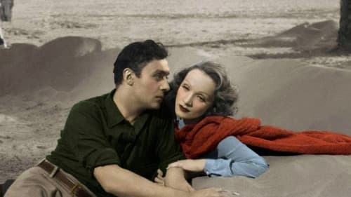 Der Garten Allahs Bild 5