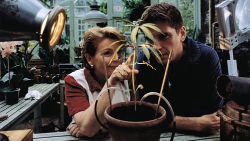 Grasgeflüster Bild 6