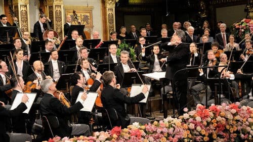Neujahrskonzert der Wiener Philharmoniker 2018 Bild 6